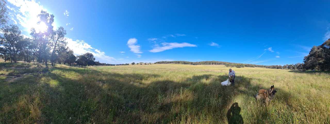 Peakgrove/Murrumvale Regen Ecoscape