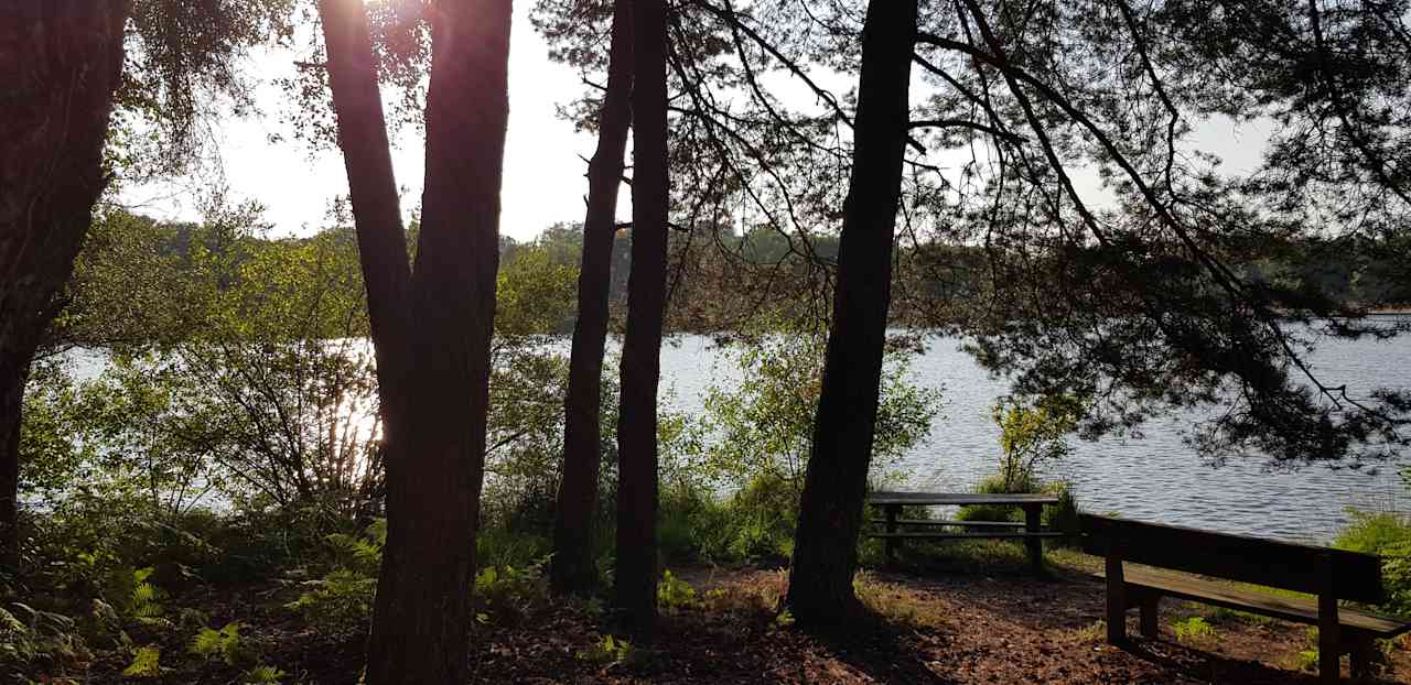 Little Forest of Muratet
