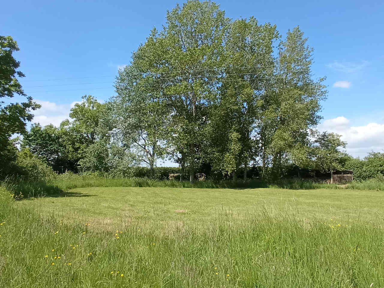 Church Farm