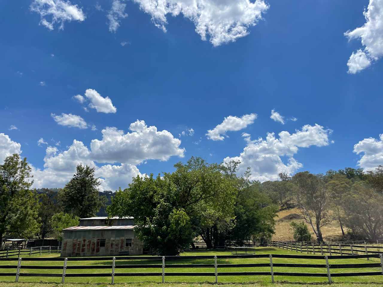 The Woolshed