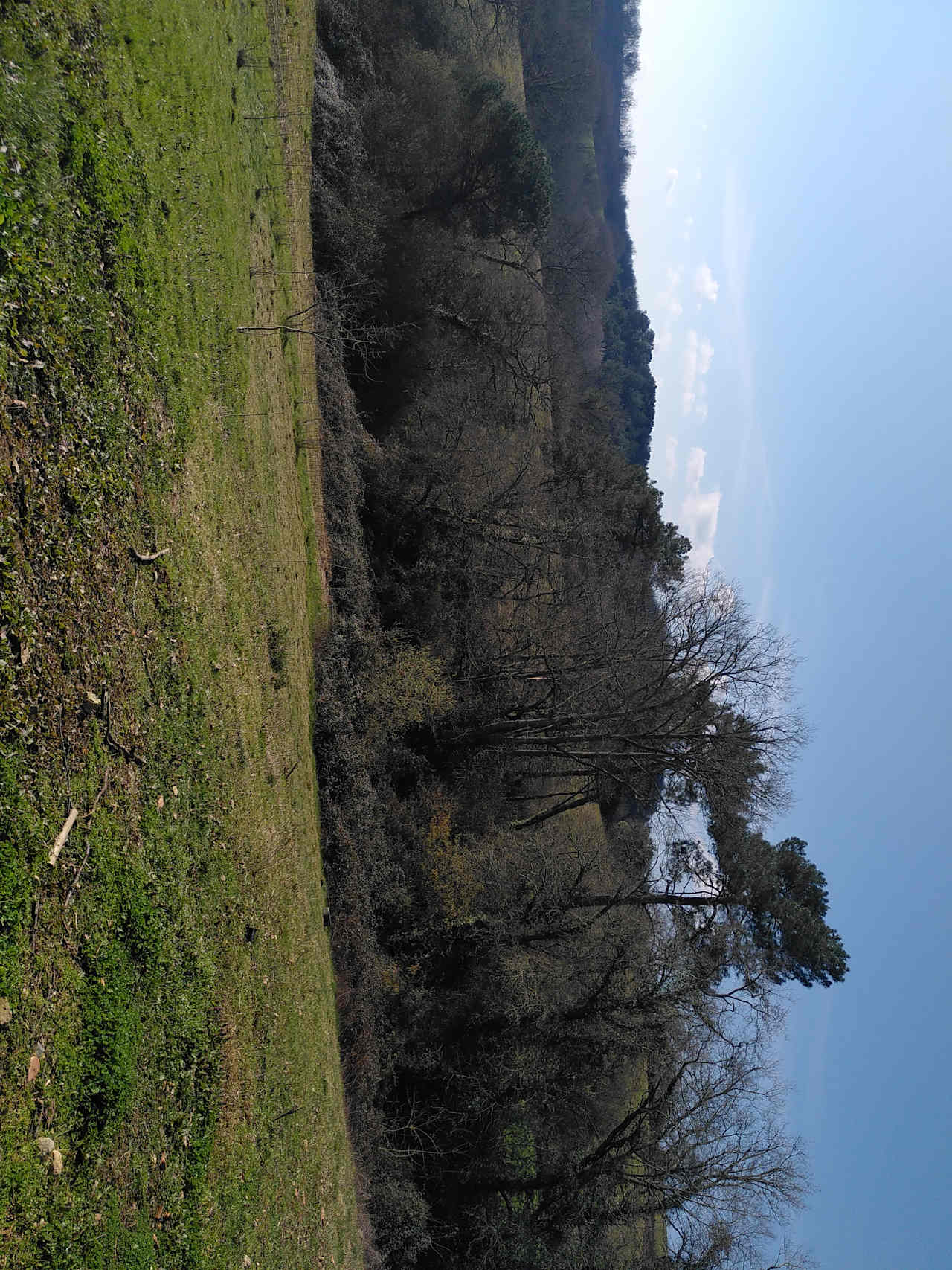 Touyaret Camp
