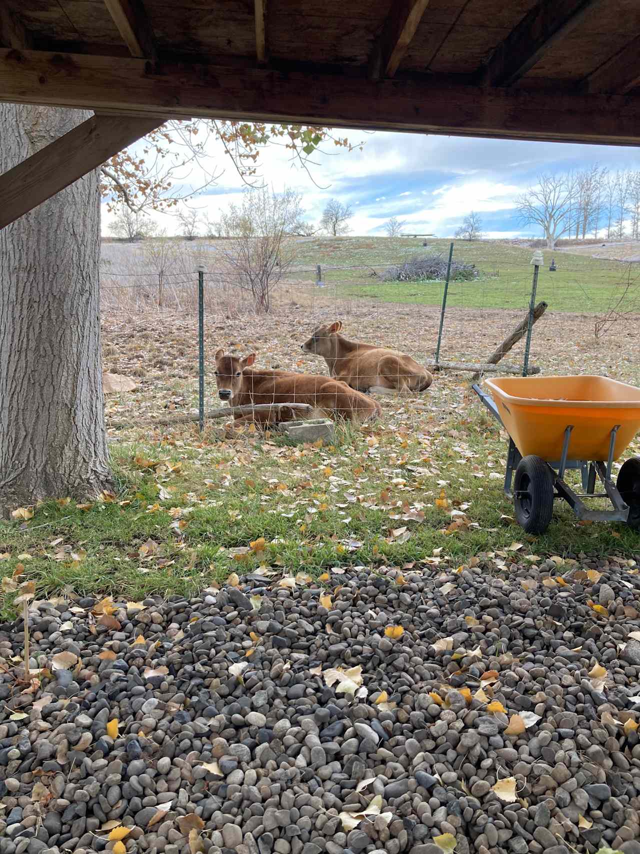 Micone Ranch