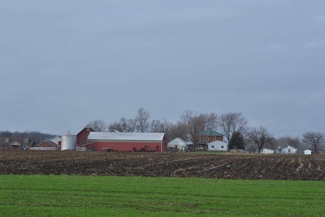 Karafit Farms