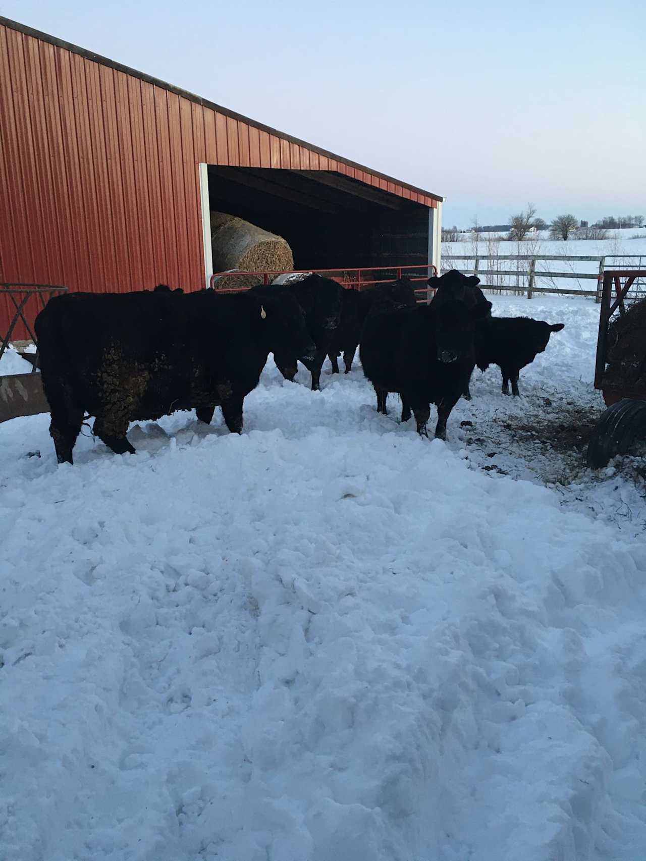 Karafit Farms