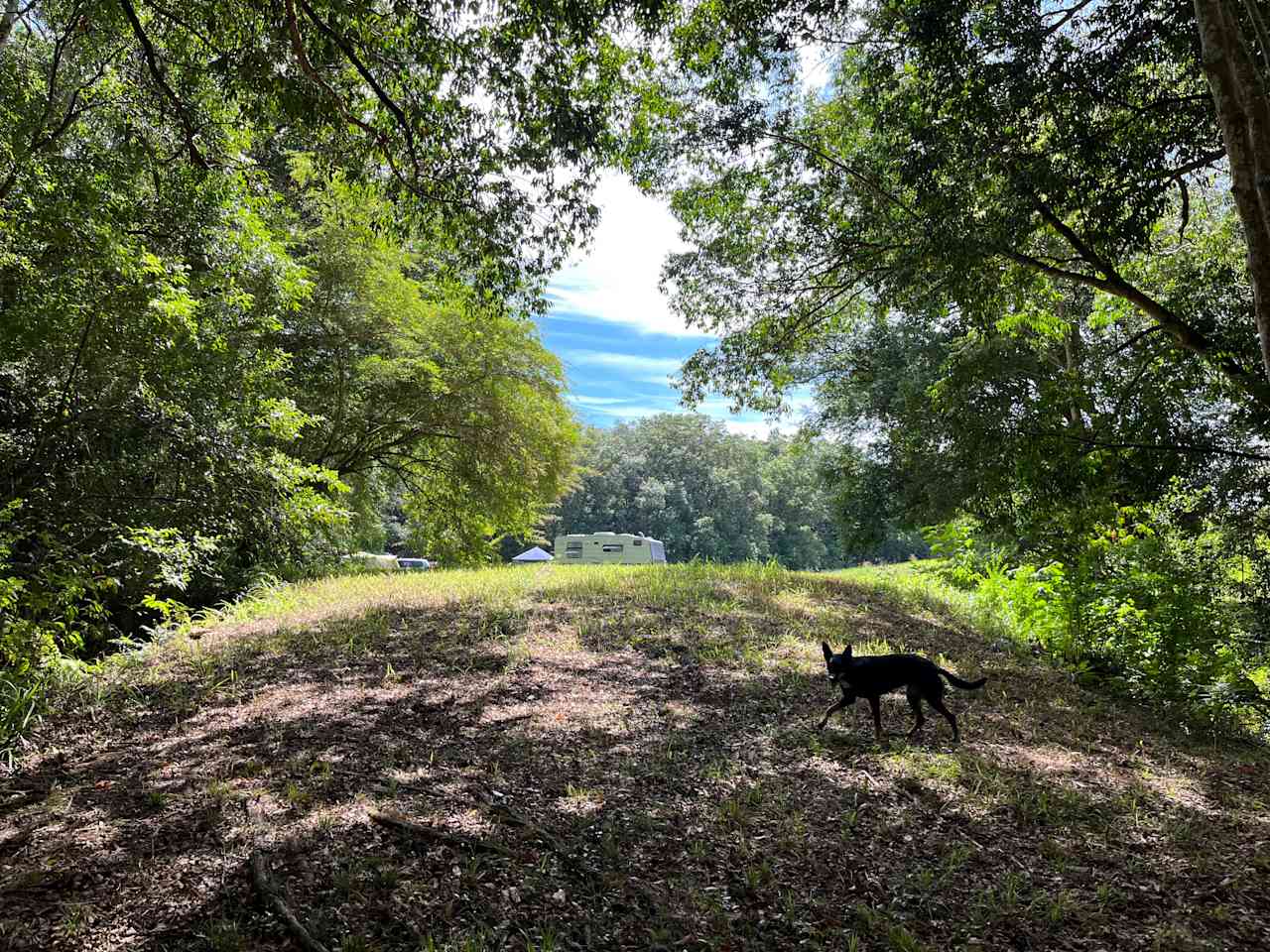 Looking back from the creek 
