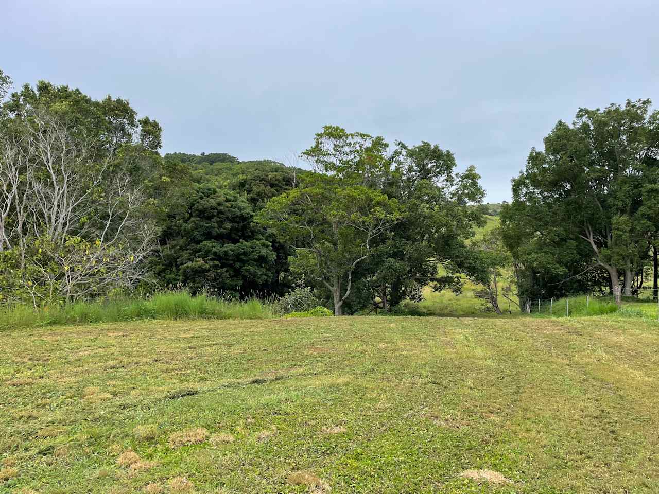 Amani Acres