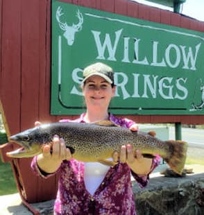 Willow Springs Resort