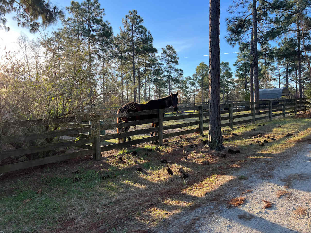 Hummingbird Hill at Clever Covert