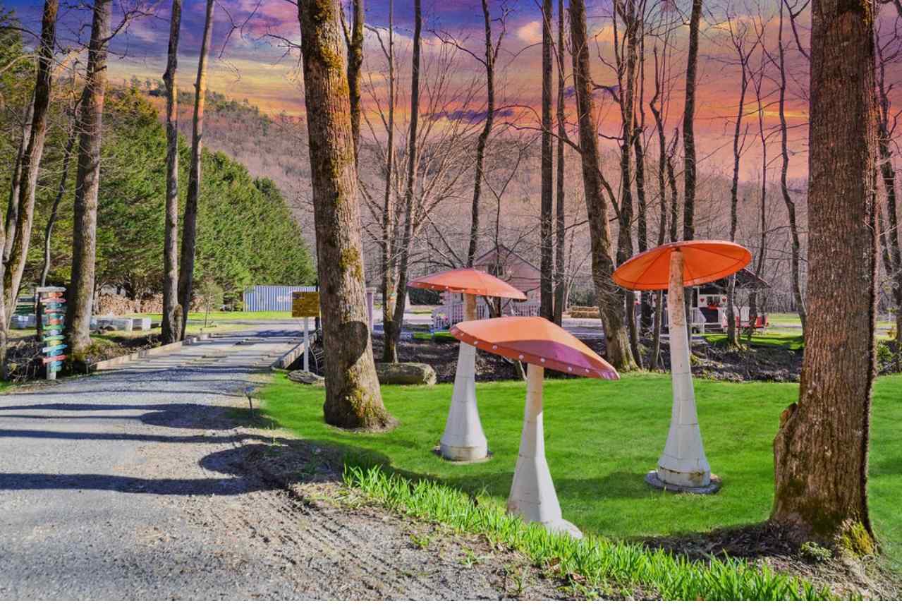 Magical Mountain Resorts
