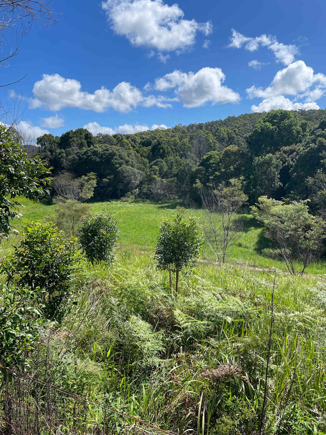 Upper Corindi Gold