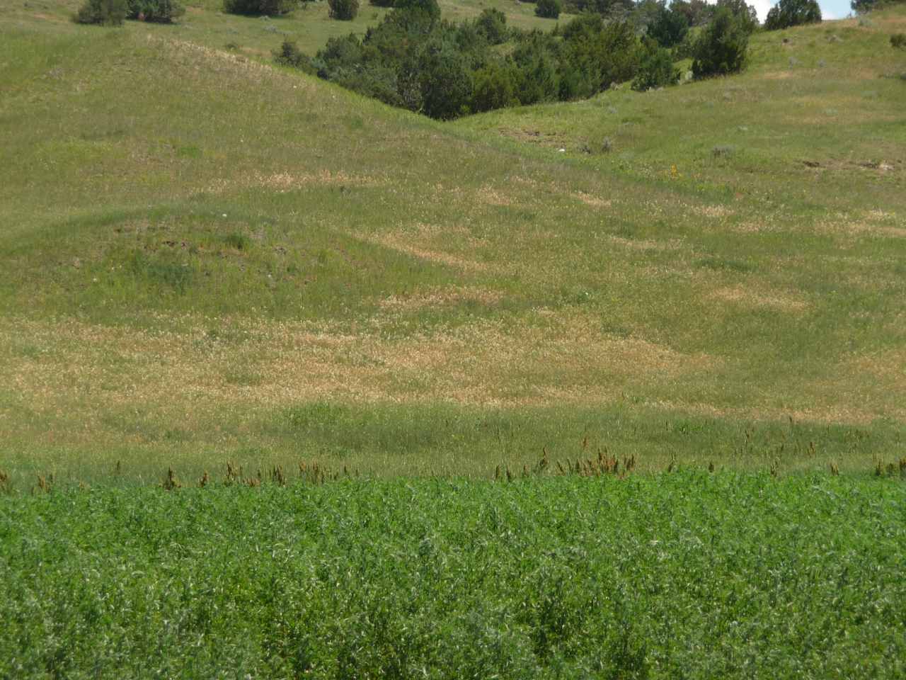 Home Ranch LLC