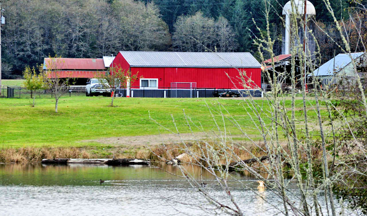 Steelhead Landing