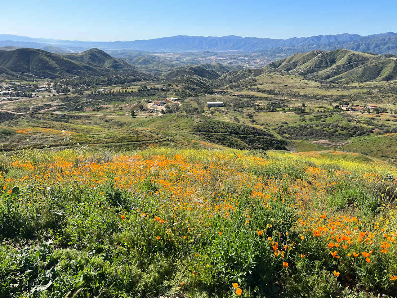 Estelle Mountain