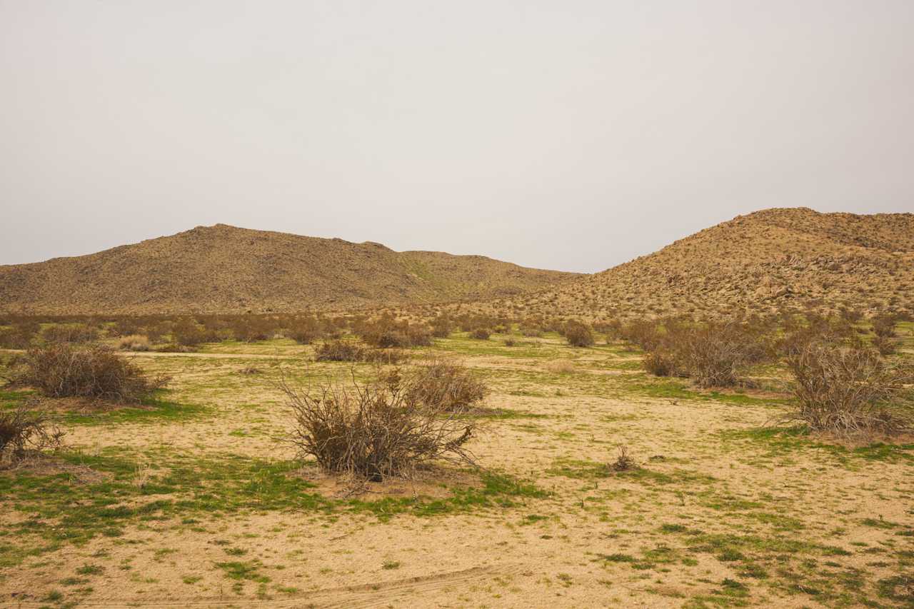 Large Desert with a Gorgeous View!