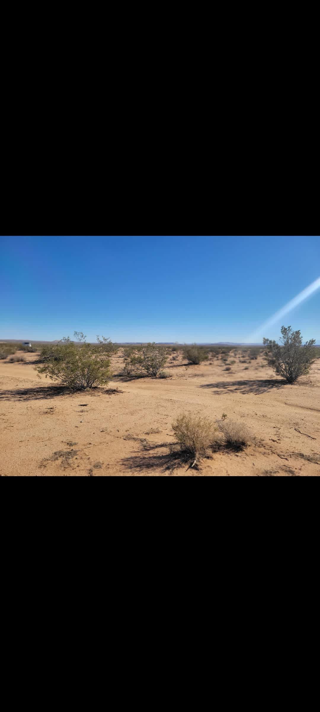 Desert Stargazers Dream