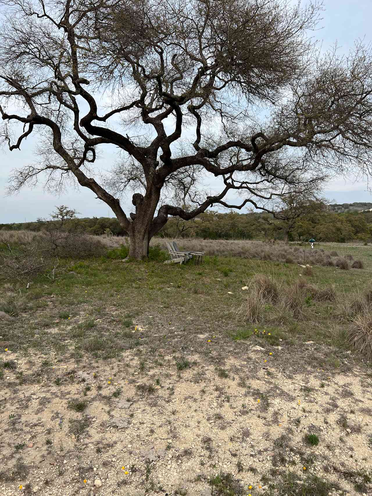 Whispering Oak Ranch