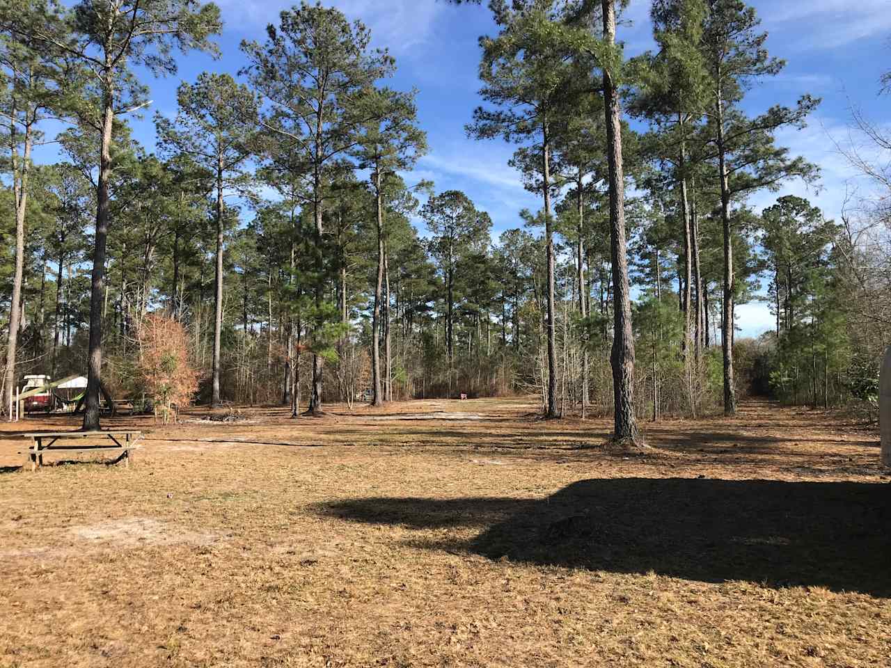 Charlotte's Whispering Pine Farm