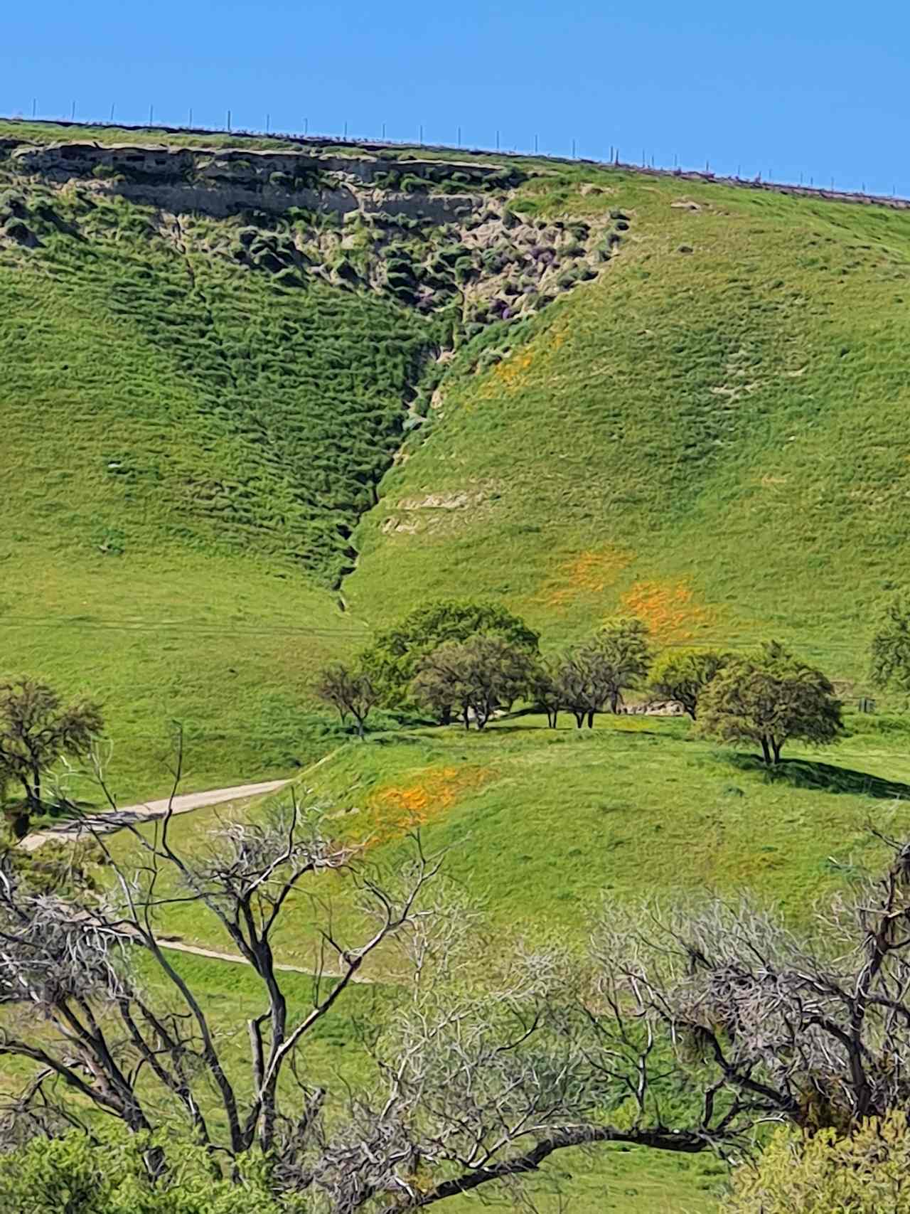BIG VALLEY OPEN SKY - Central Coast