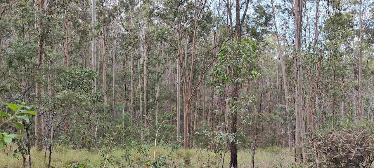 Hunter Downs