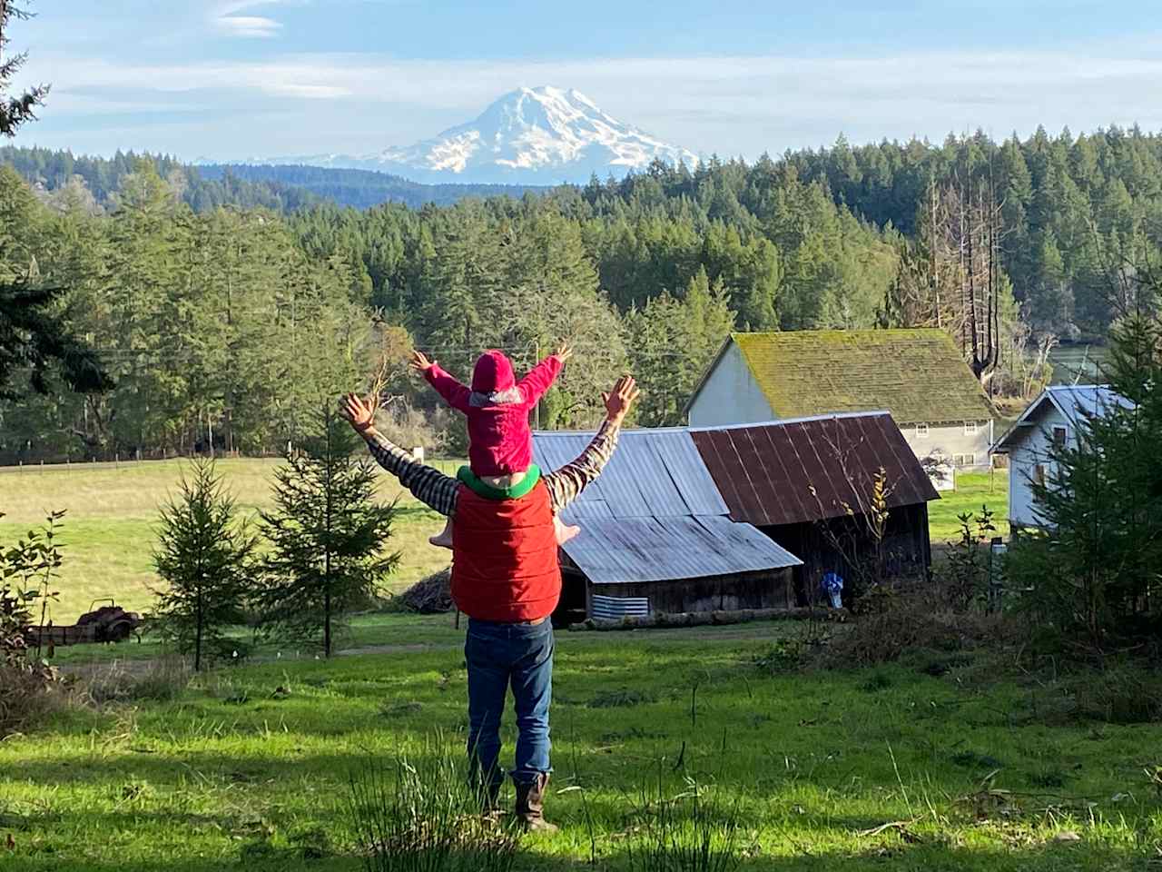 Mt Rainer