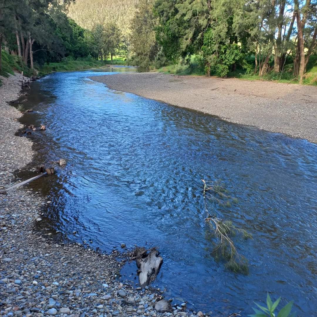 Dungog Horseshoe Camp