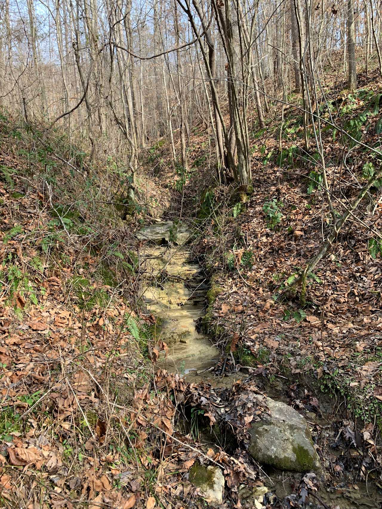Creek