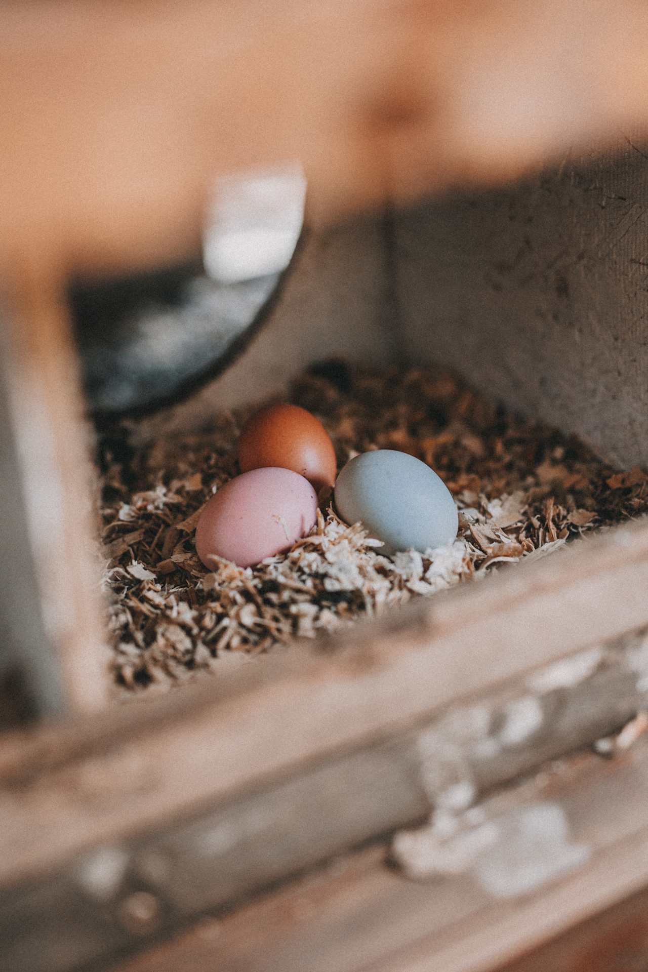 Tiny Secrets Farm & Retreat