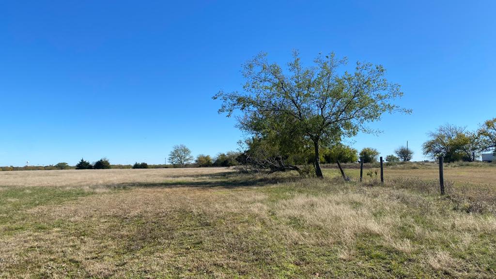Lion Ranch
