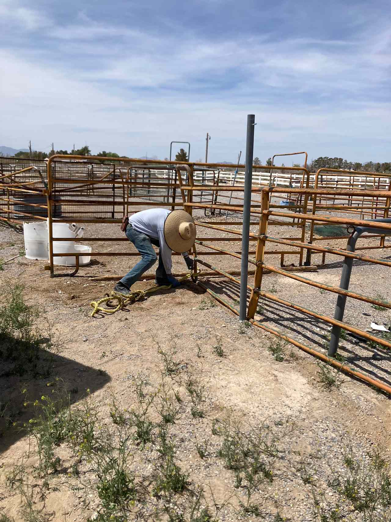 Horse camp