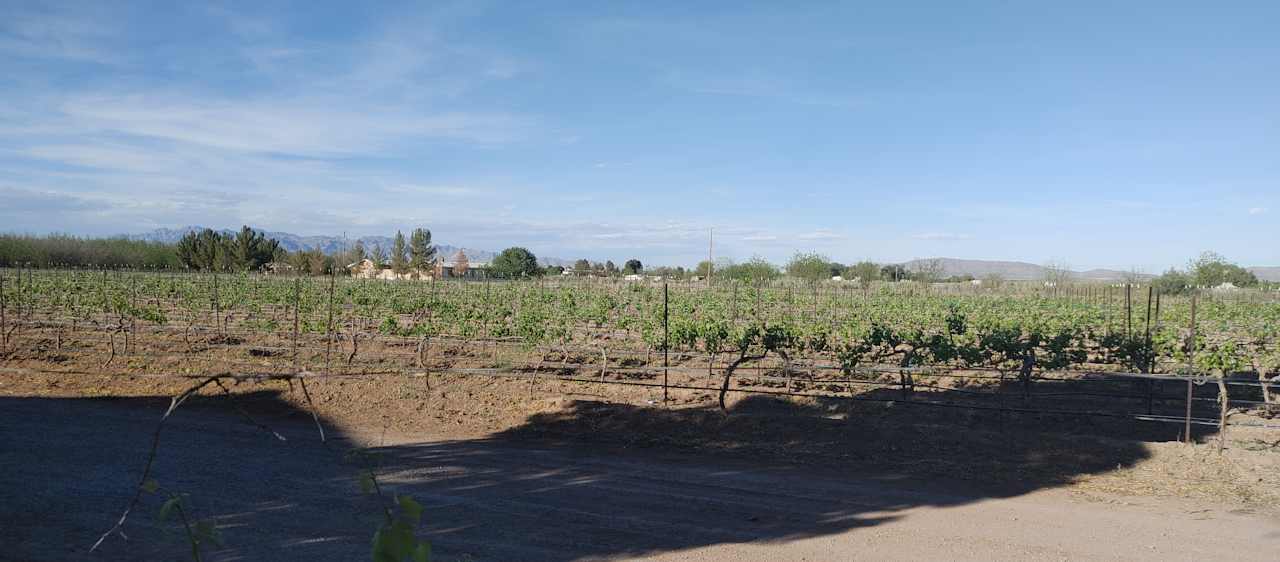 La Vina rd