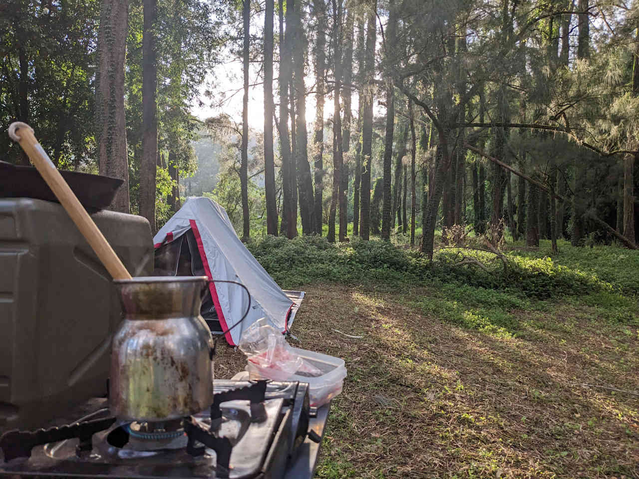 Dungog Horseshoe Camp