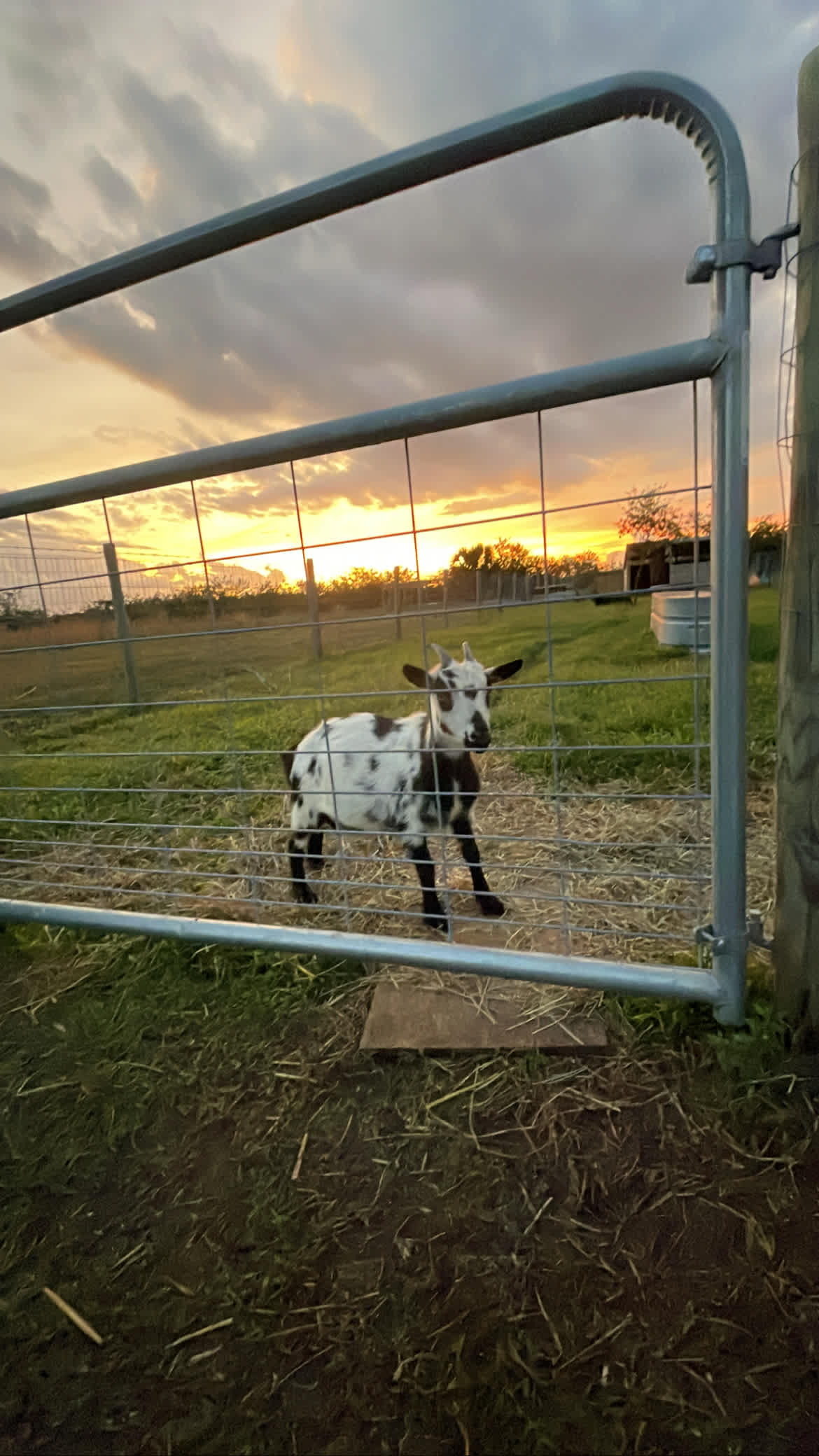 Farm Retreat