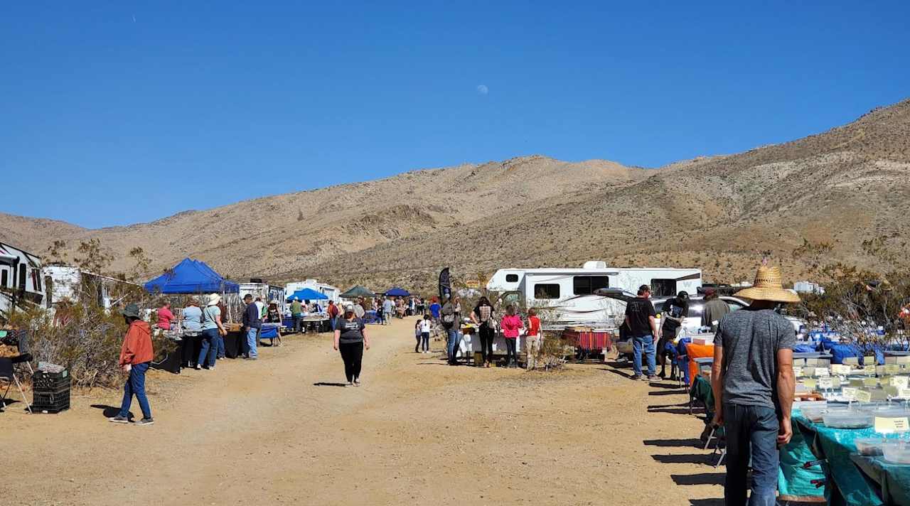 VVGMC TAILGATE