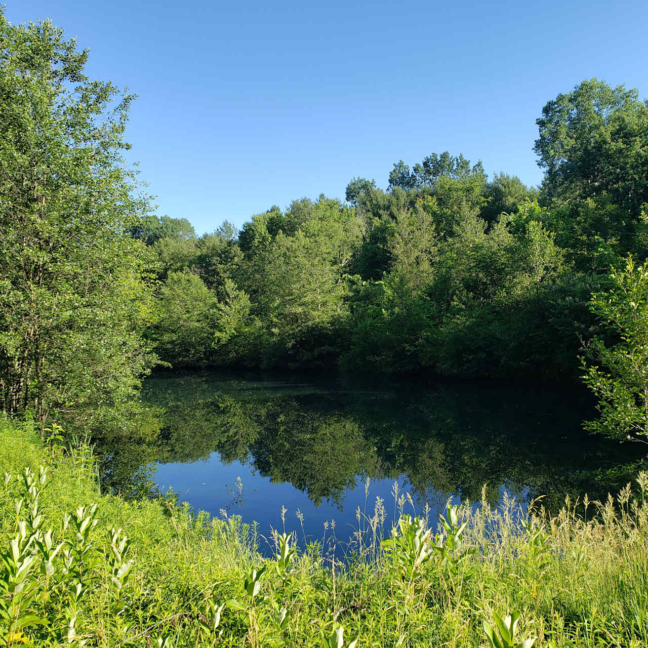 Looking down on the pond near 
the campsite 