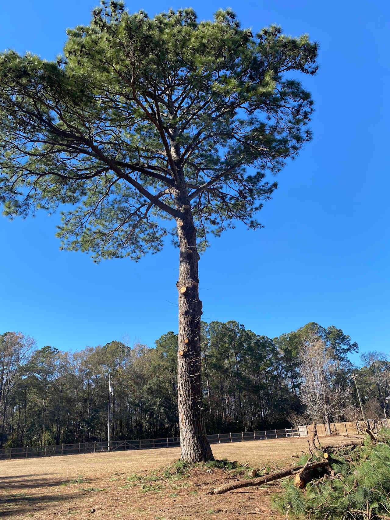 Summerville RV Site