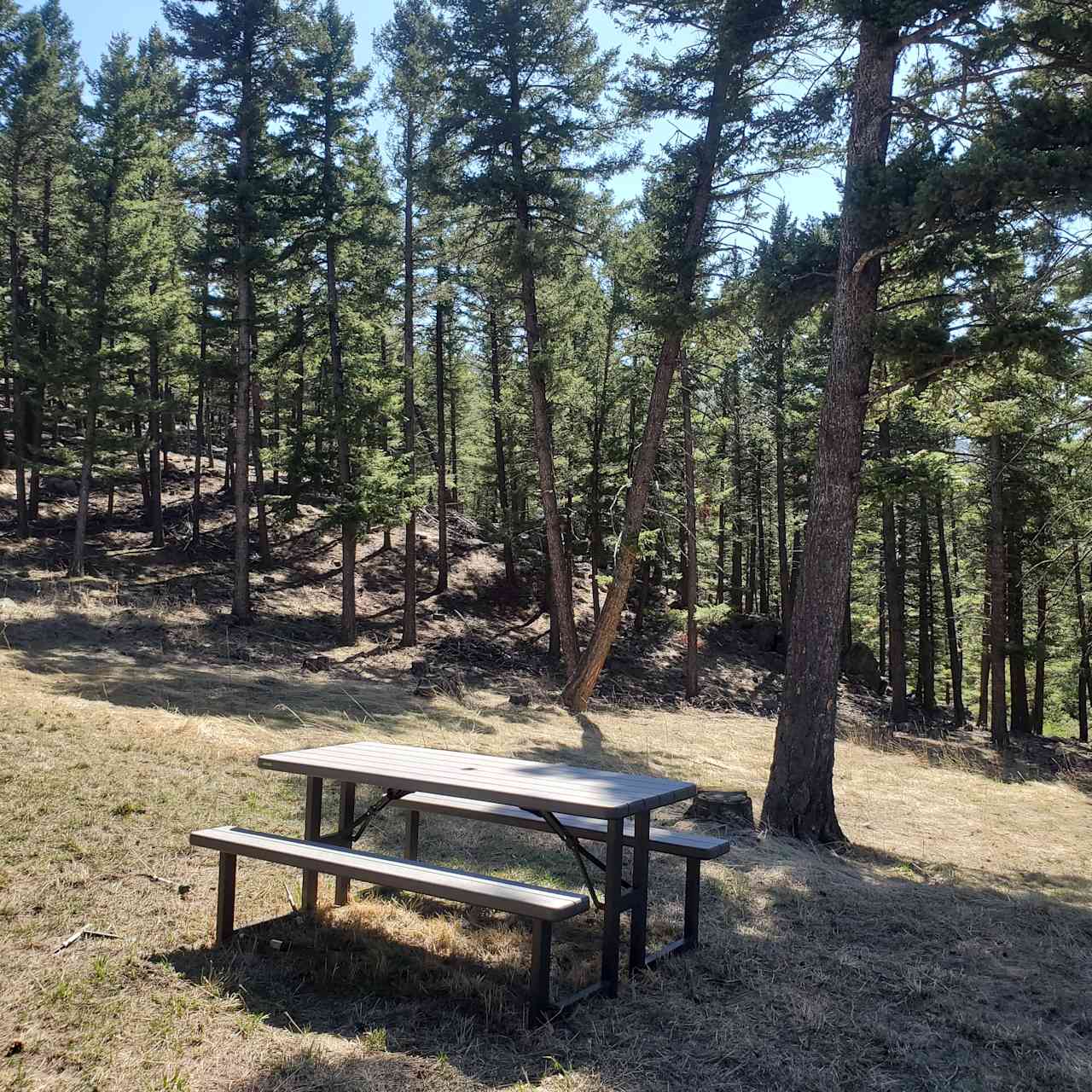 Mountain Biker's Getaway