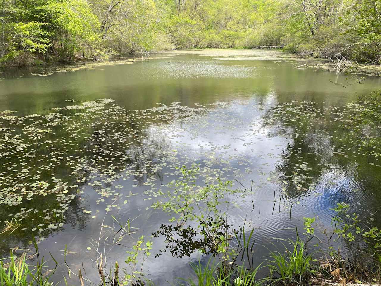 Petersville Campground