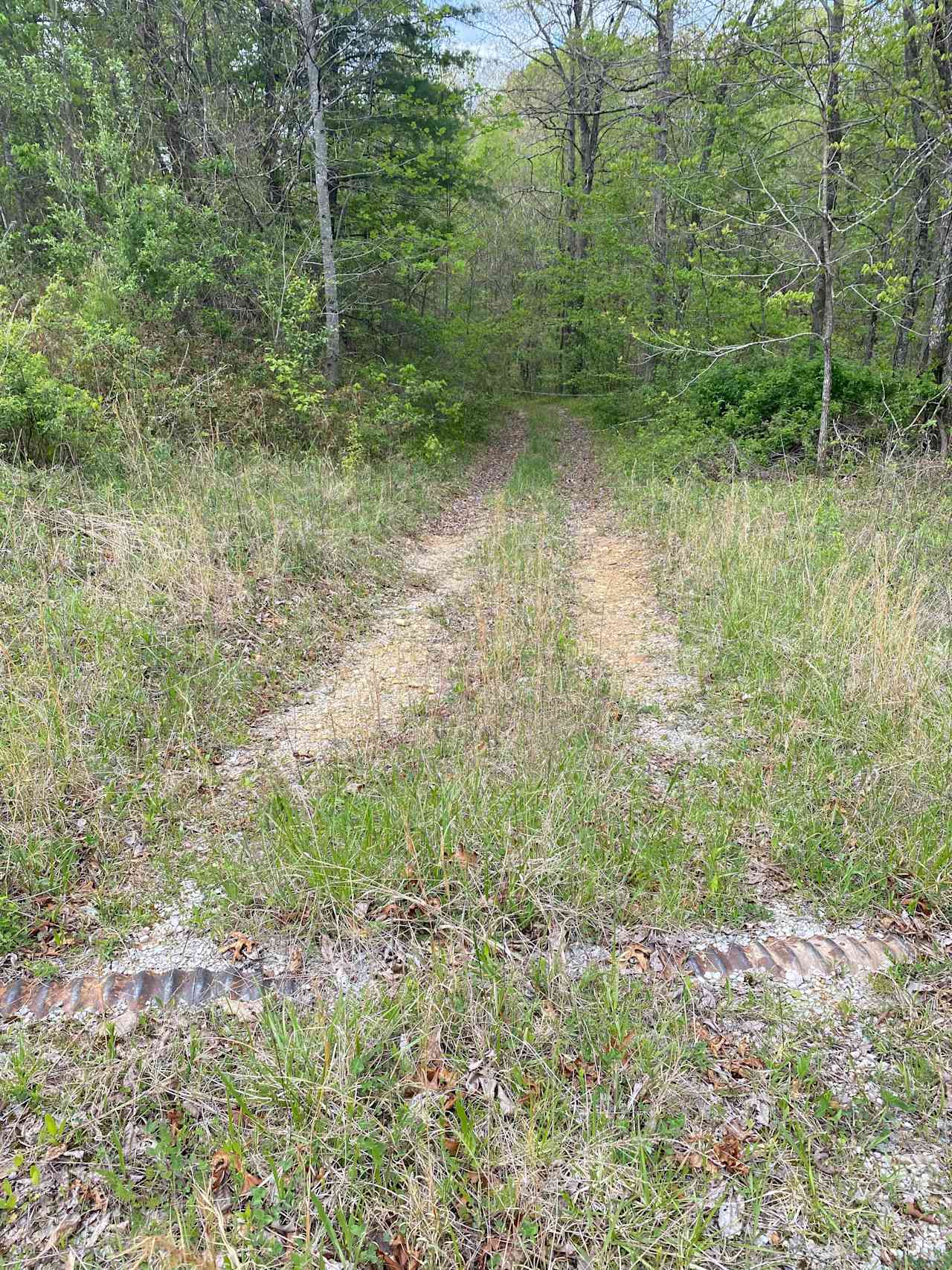 Petersville Campground