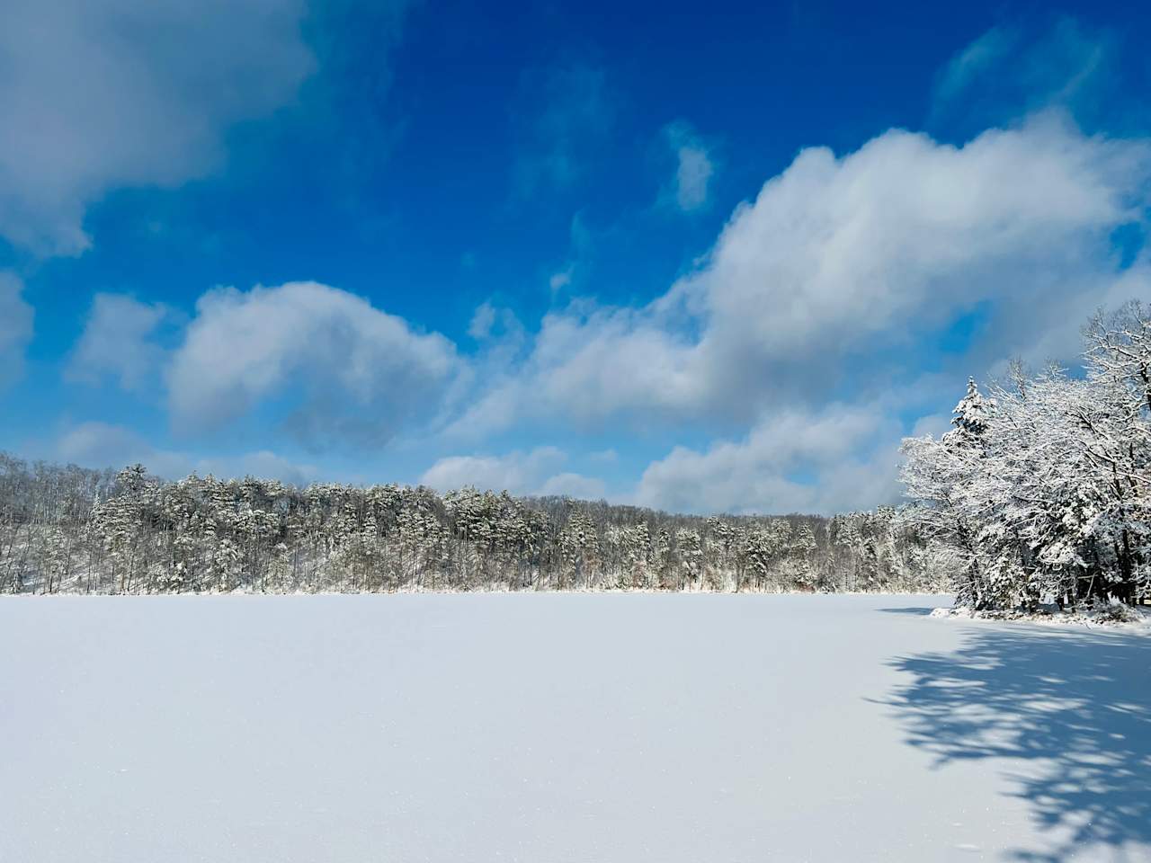 Pine Ridge Lake Camp (PRL Camp)