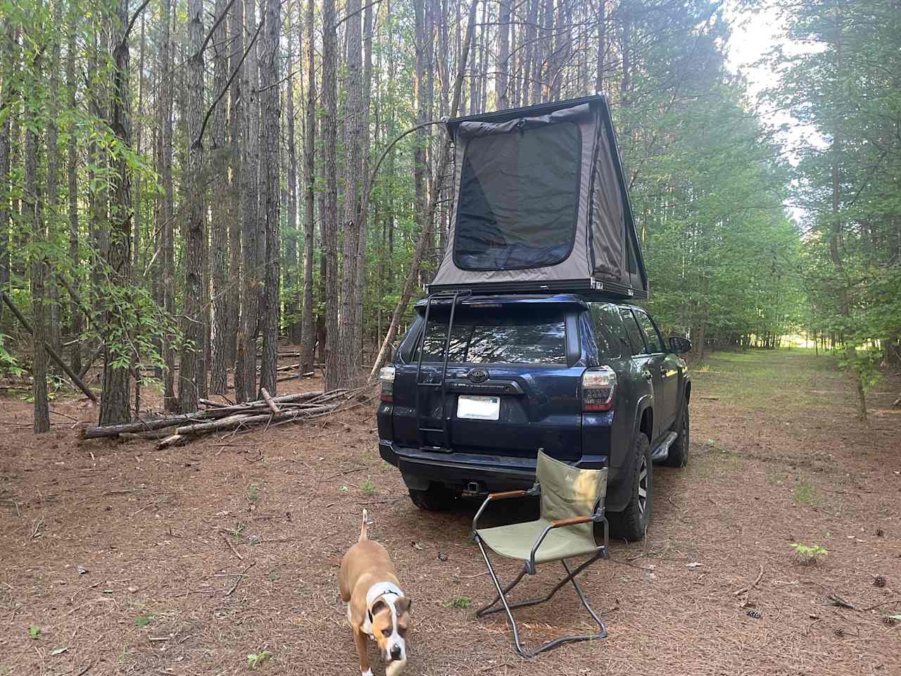 Rural Chapel Hill Forestry Stay