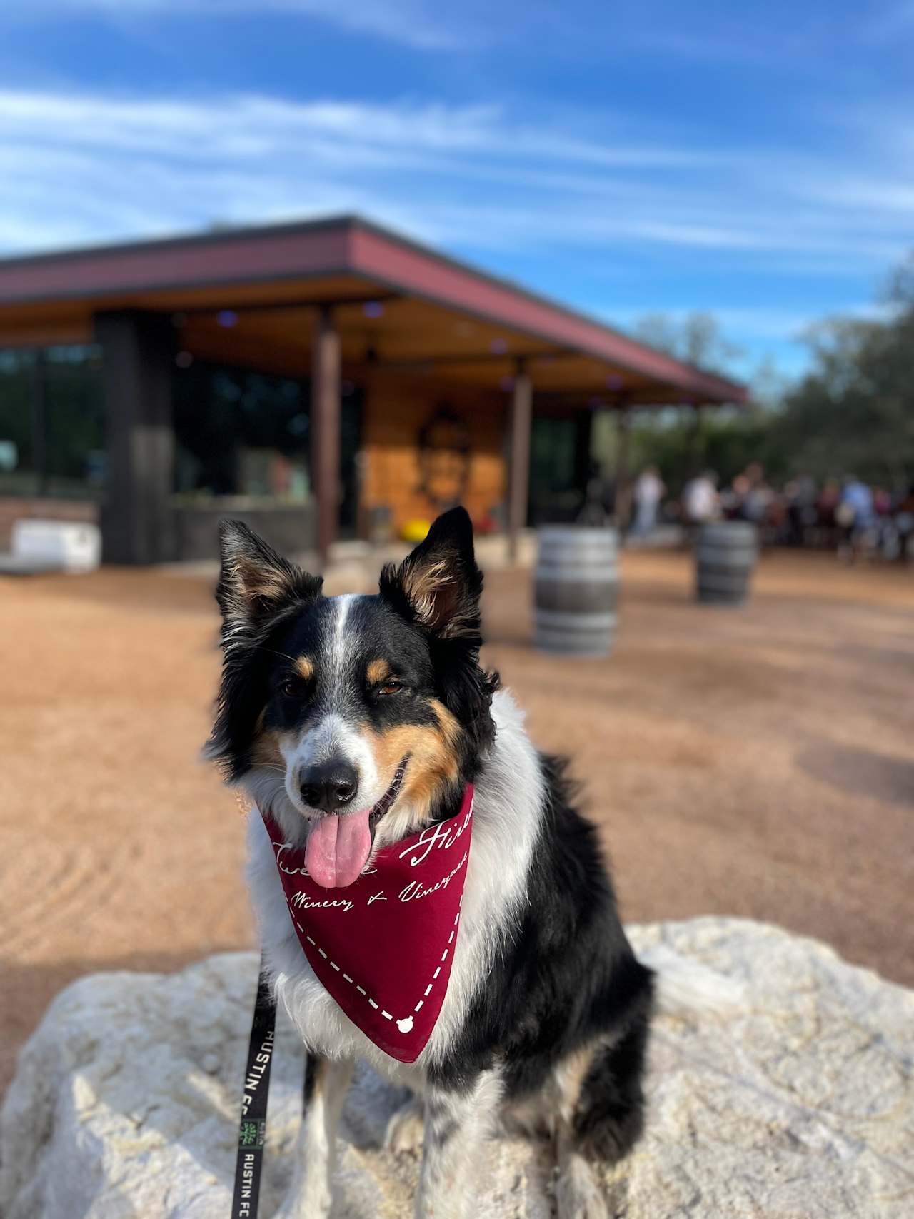 12 Fires Winery and Vineyard