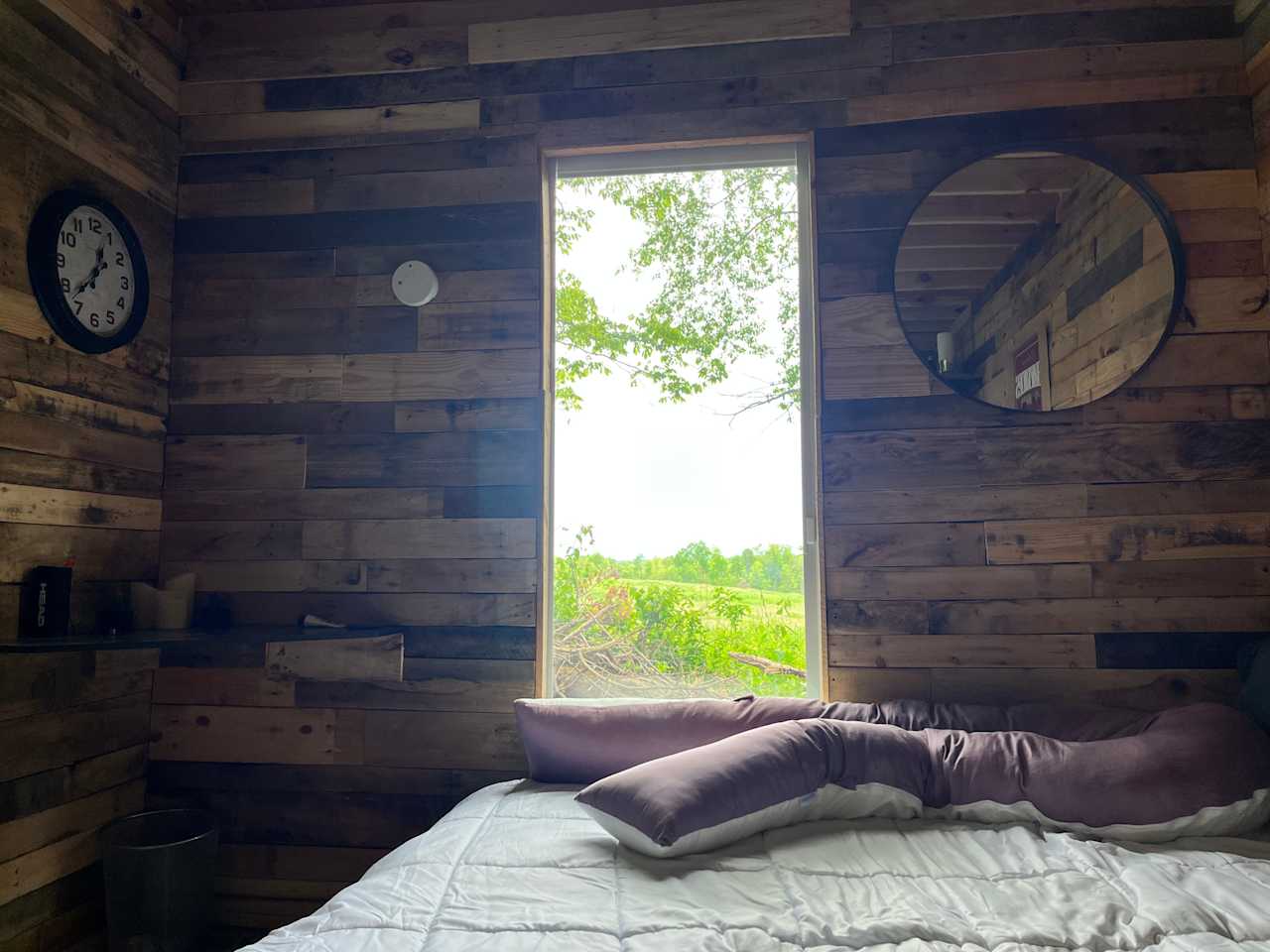 Room with a view 