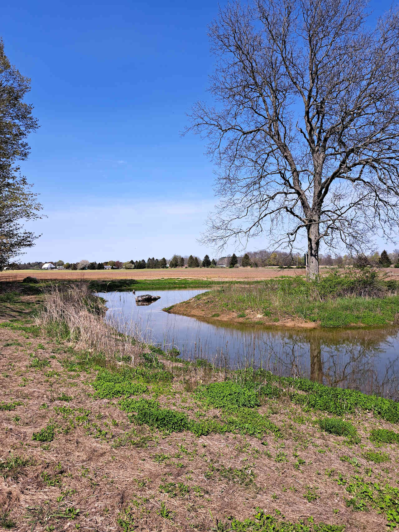 Howeholm Farm