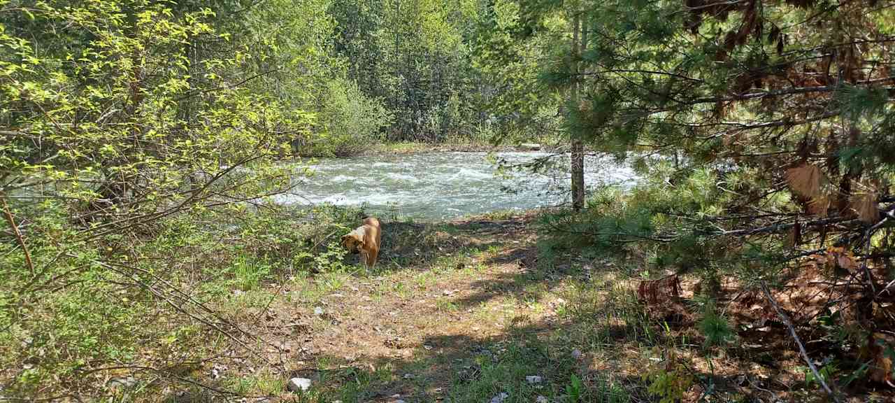 Flowing creek sounds to fall asleep to under starry skies