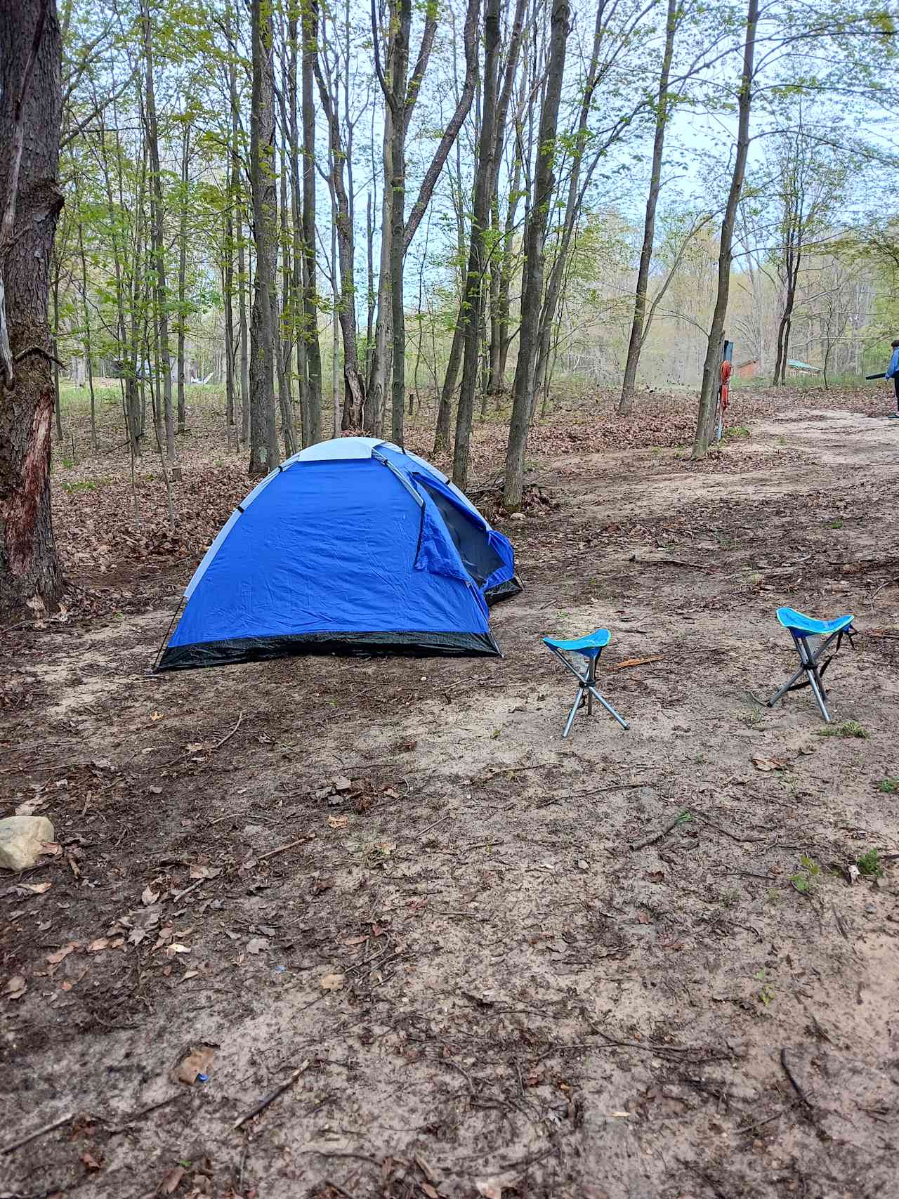 Camp Firefly