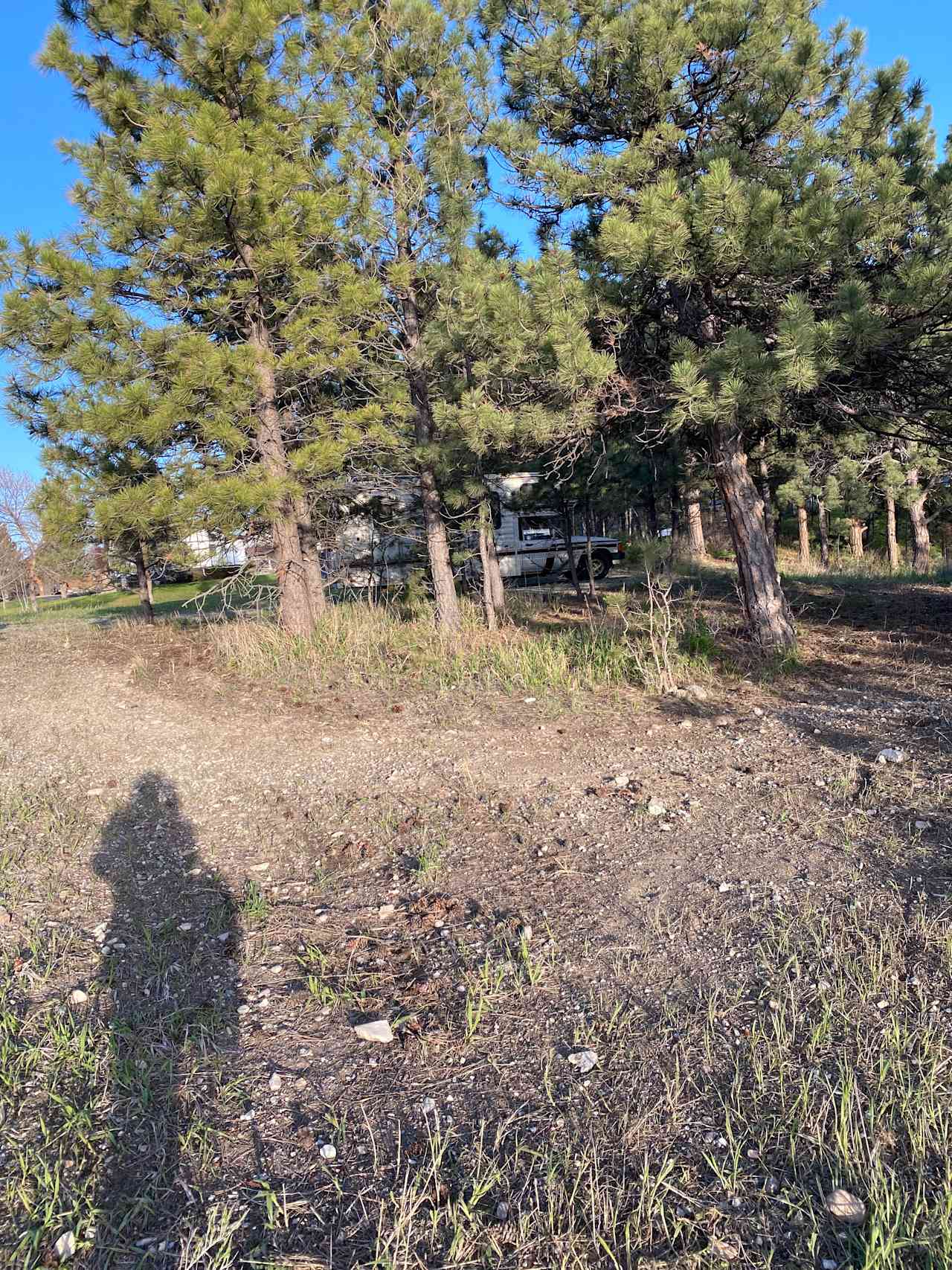 Wooded access