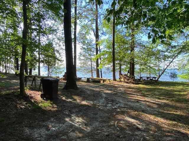 Campsite #1 (only 1 picnic table now)
