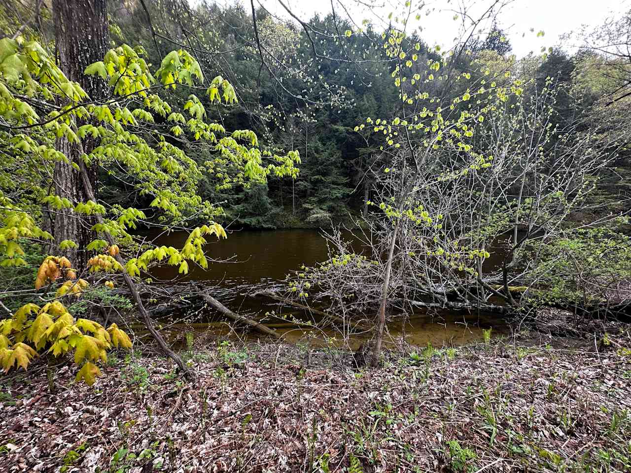 Mountain Rise Farm and Campground