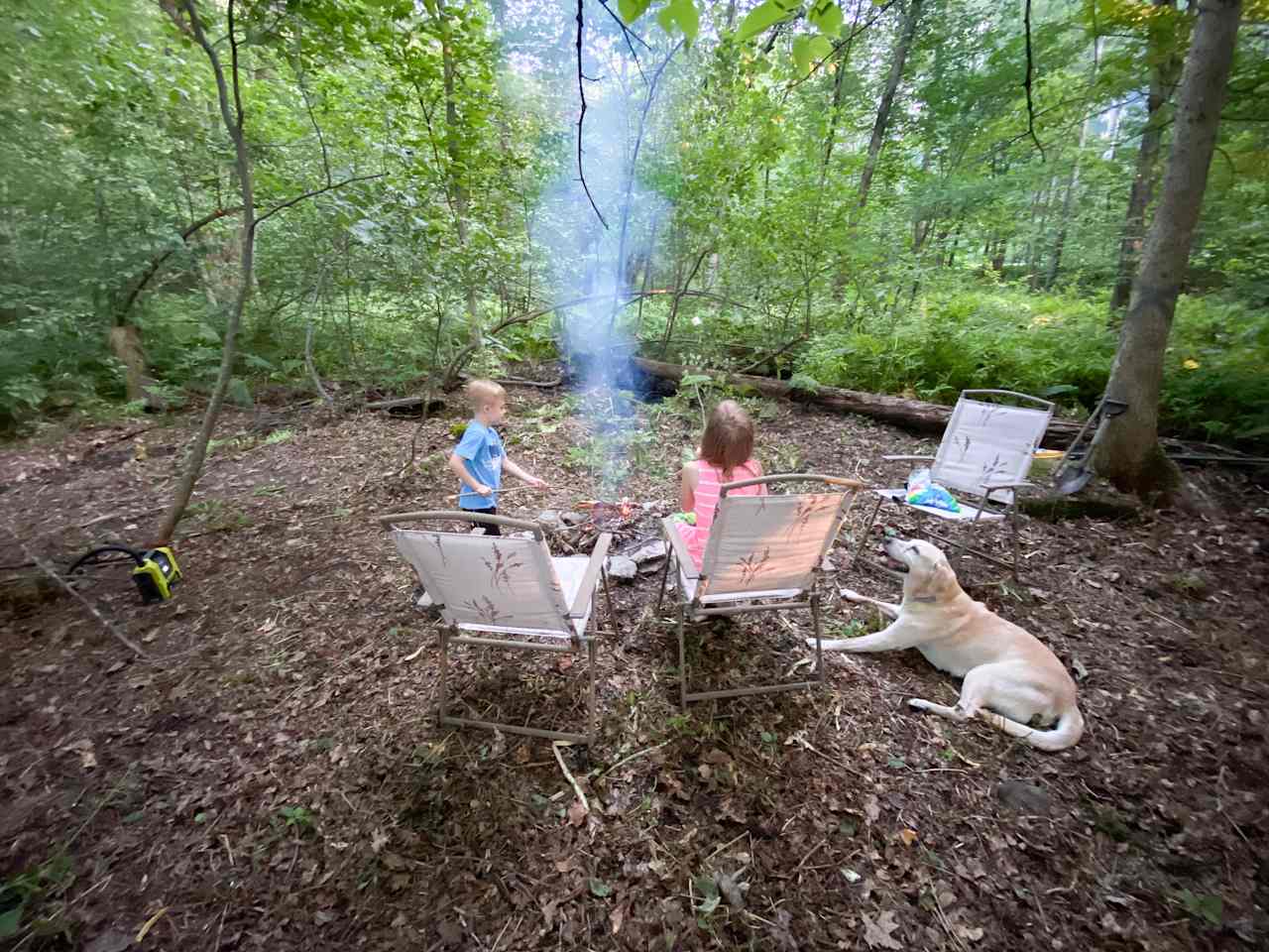 My kids cooking s’mores testing Out possible camp areas. 