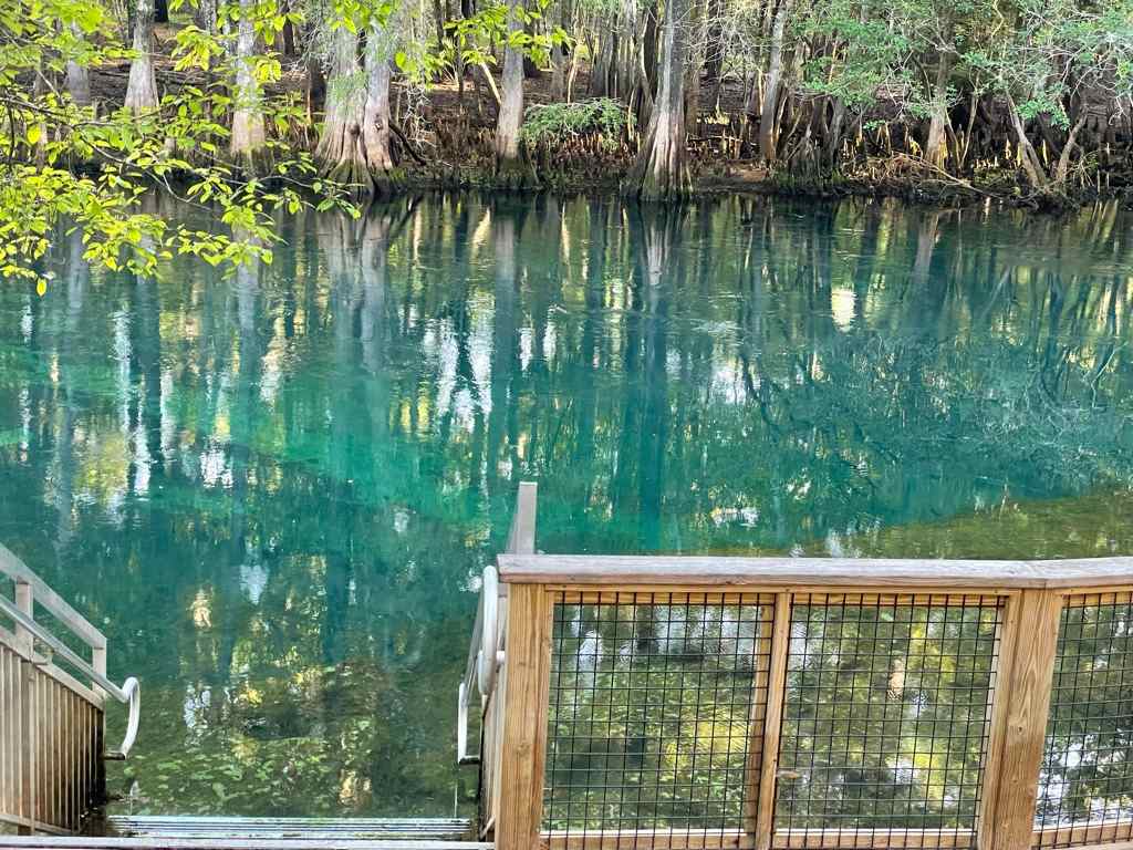 Head Spring swimming area